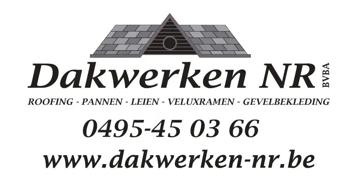 Dakwerken Nick Rottiers